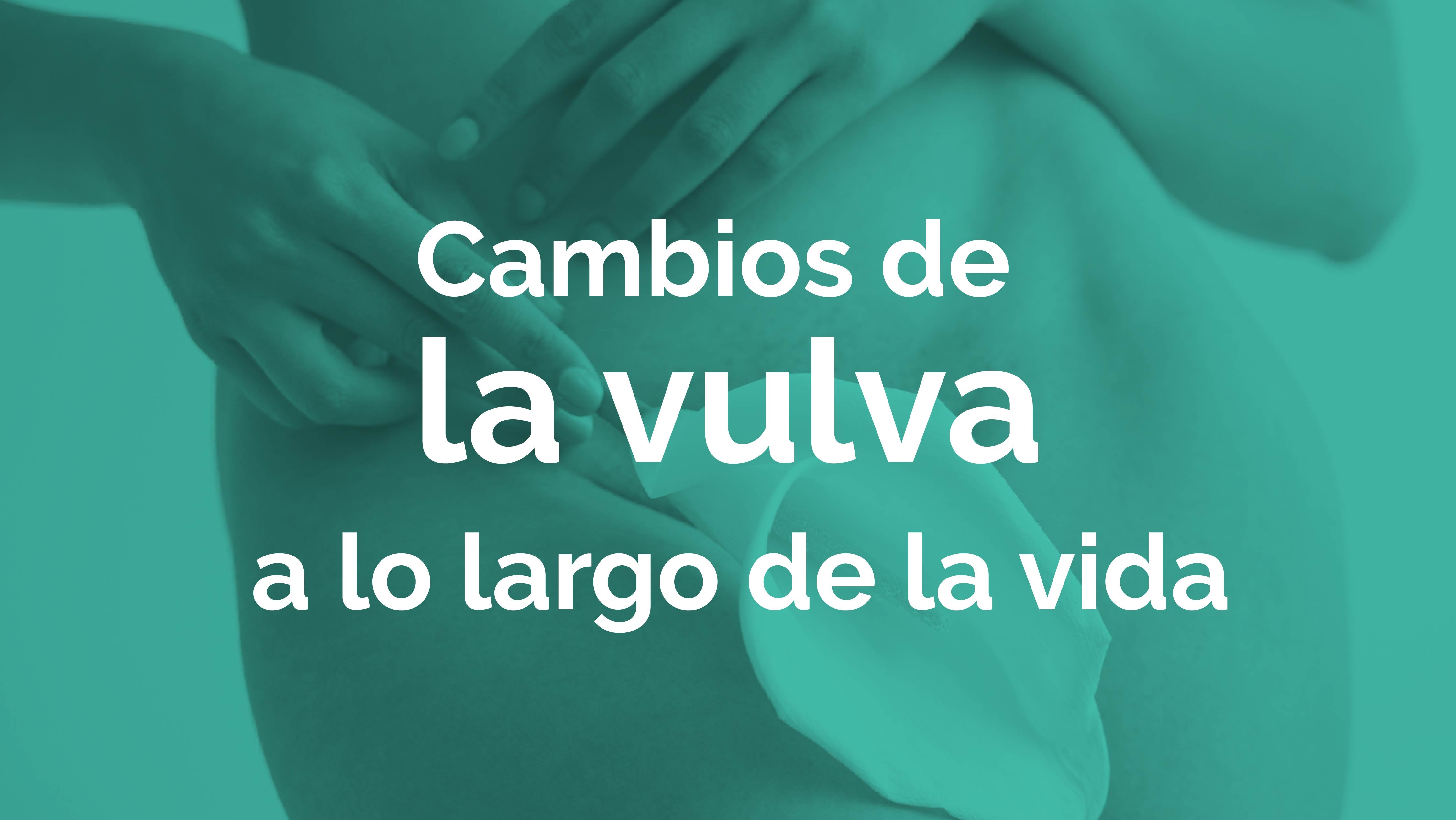 Cambios de la vulva