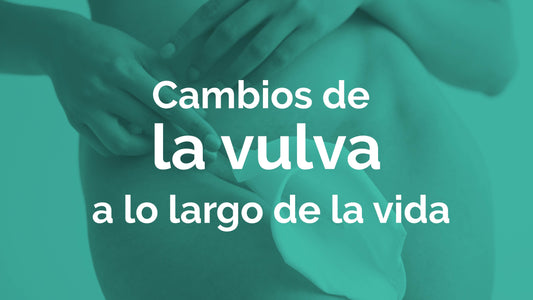 Cambios de la vulva