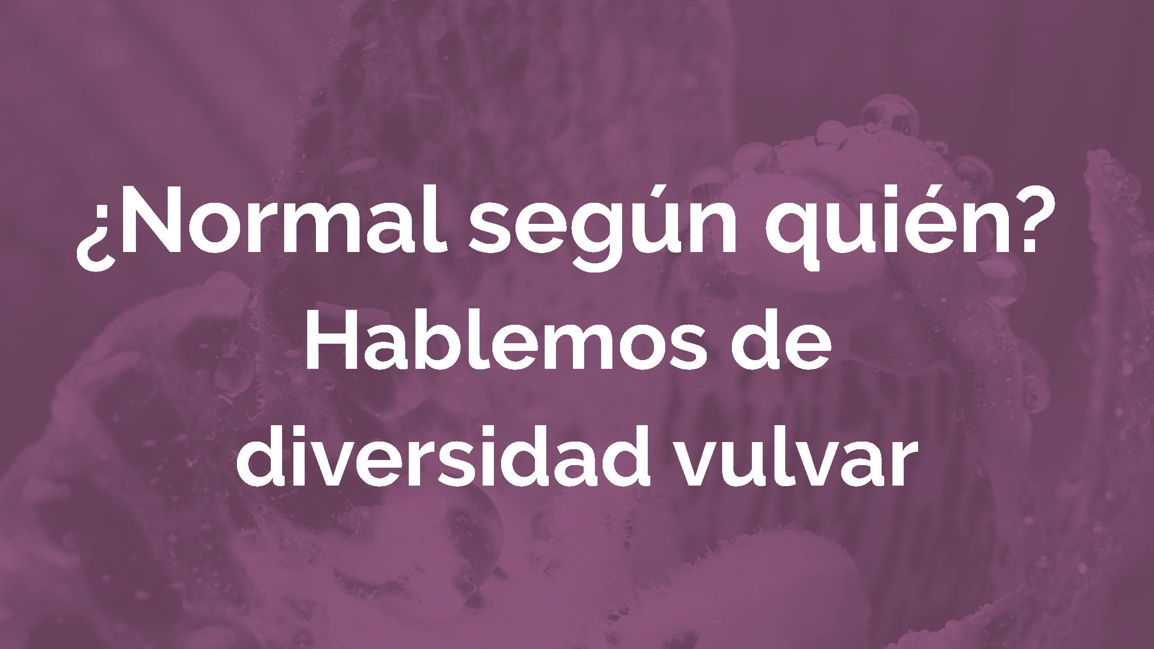 ¿Existe una vulva “perfecta”? La verdad sobre la diversidad Vulvar